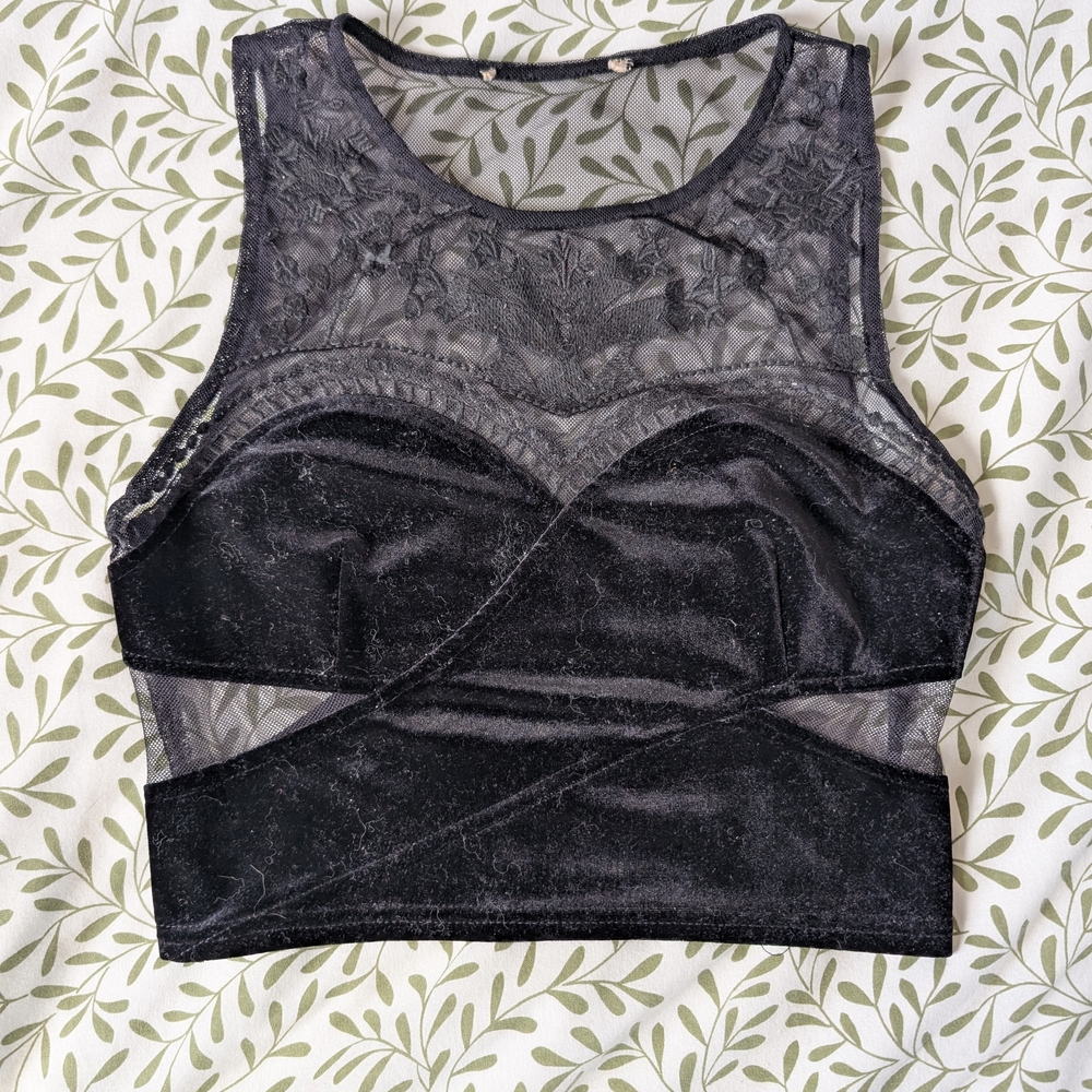 Black Velvet and Mesh Crop Top